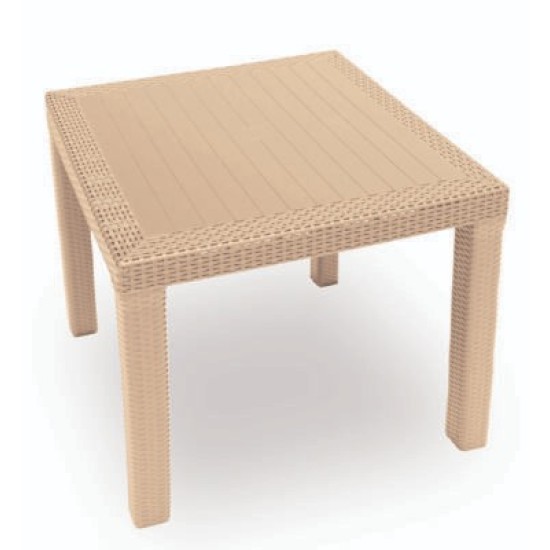 Bahar Bahçe Efes 80×80 Cm Orijinal Masa